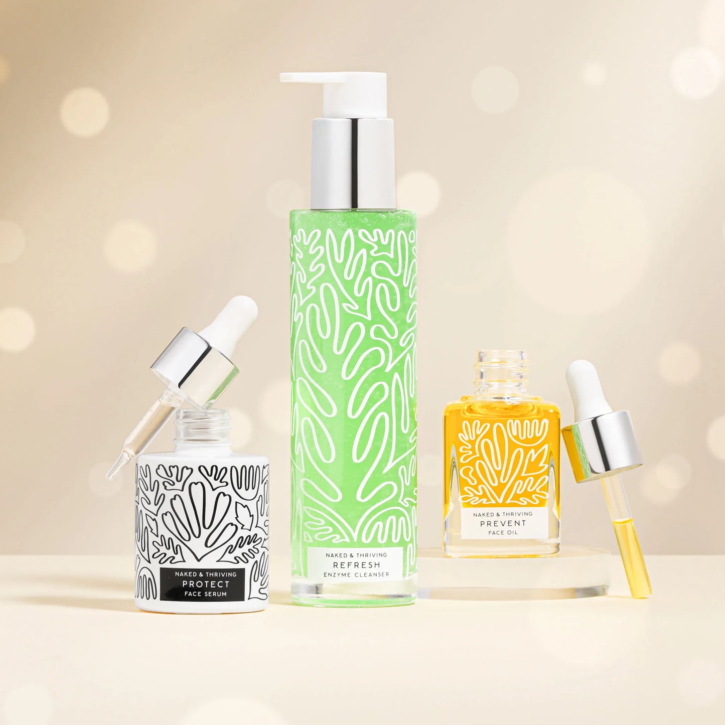 
                
                  The Day Routine: Refresh, Protect, Prevent
                
              