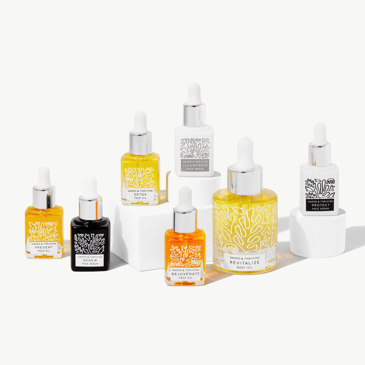 The Discovery Set: Limited Edition Gift Set