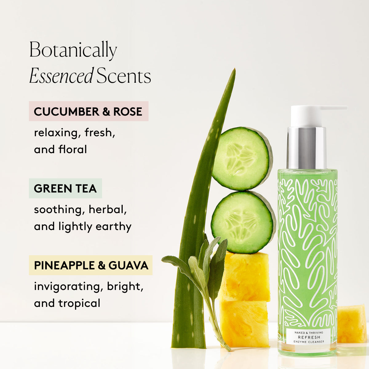 
                
                  Refresh Gentle Enzyme Cleanser bottle next to cucumber, aloe, and pineapple beside text describing botanical scents
                
              