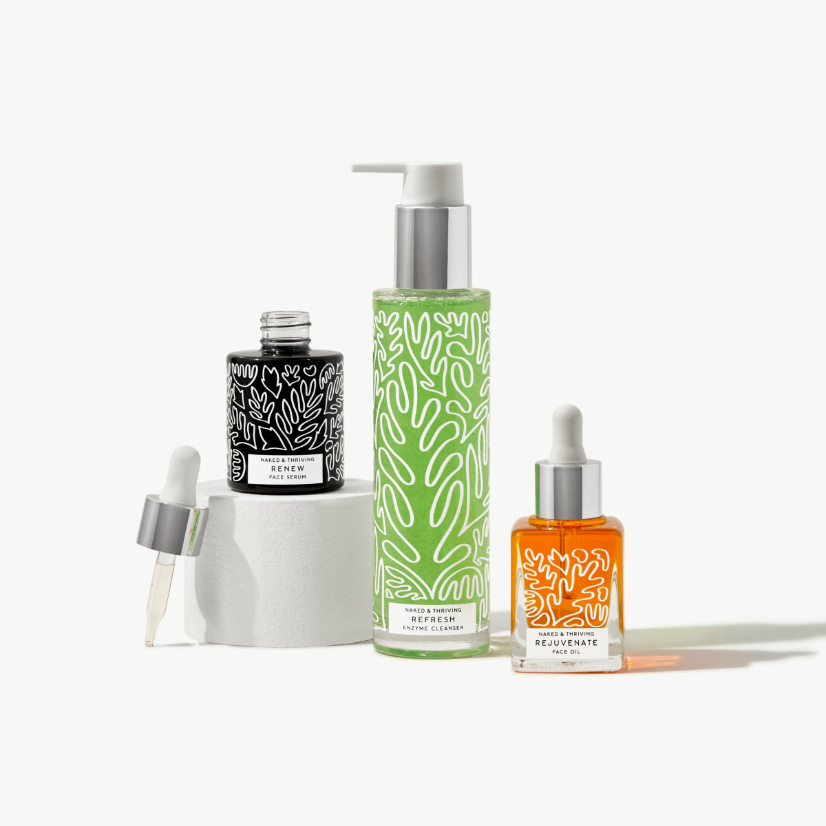 The Refresh Routine: Refresh, Renew, Rejuvenate