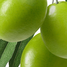 Glycolic Acids