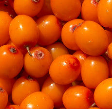 Glycolic Acids