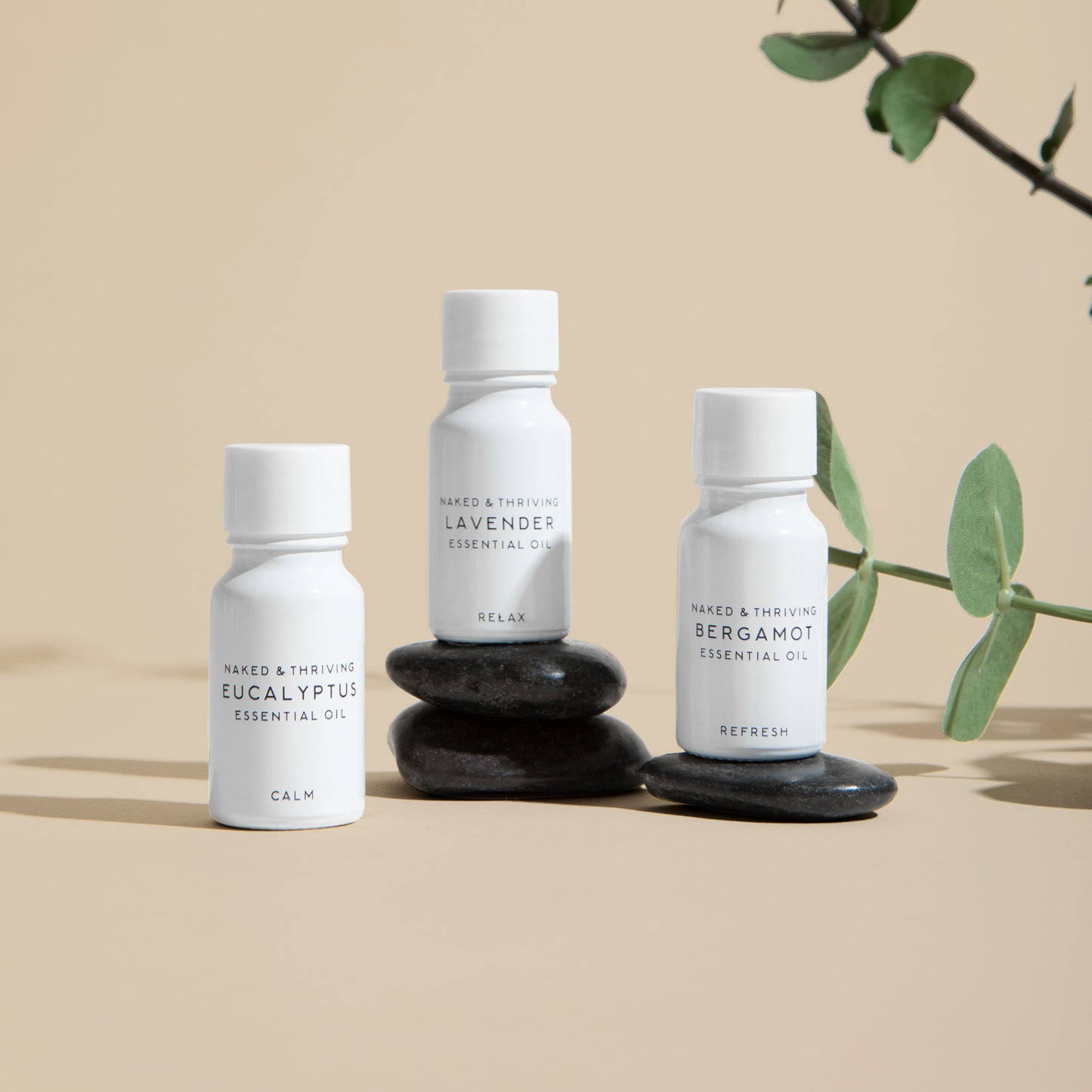 
                
                  Serenity Trio: Essential Oil Gift Set
                
              
