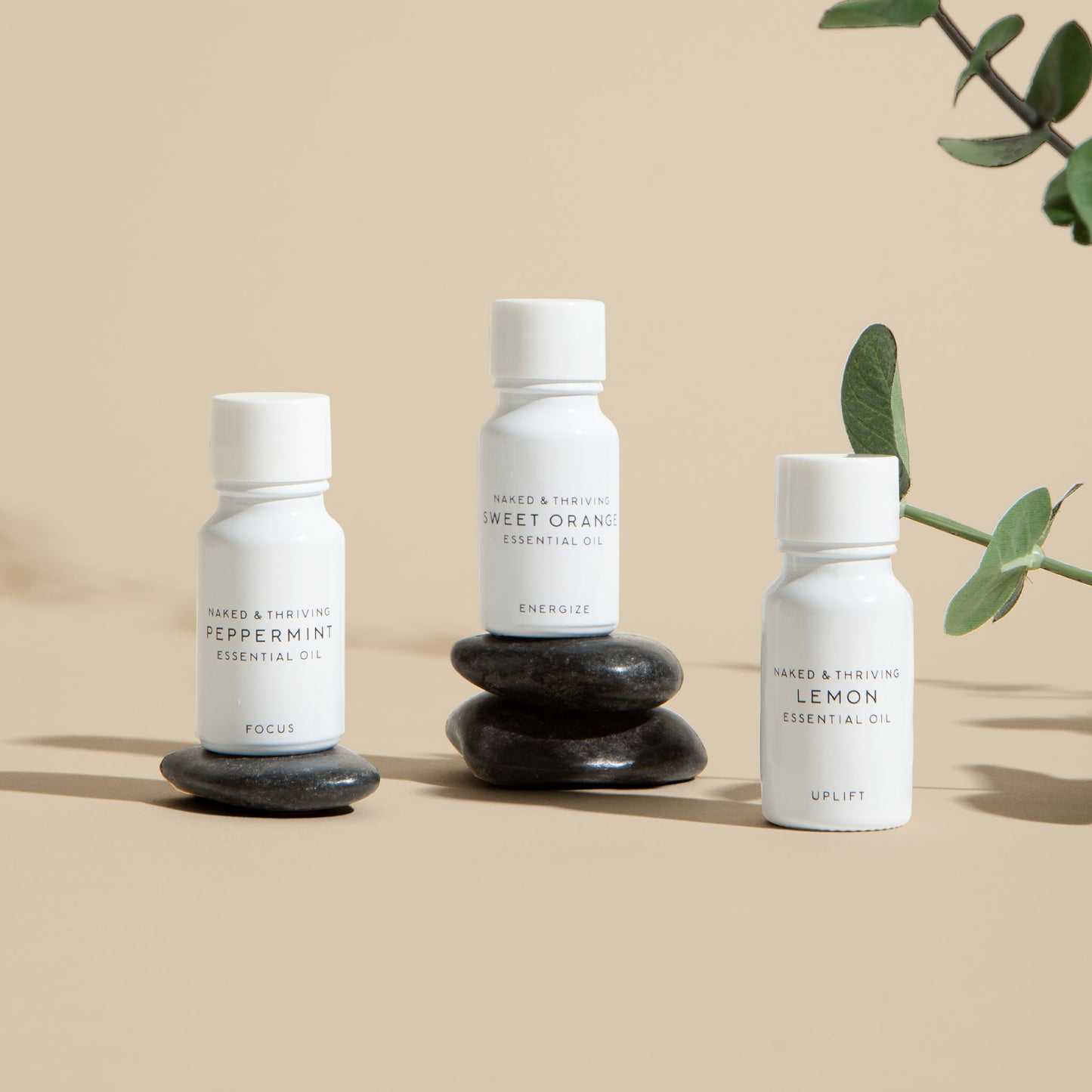 
                
                  Vitality Trio: Essential Oil Gift Set
                
              